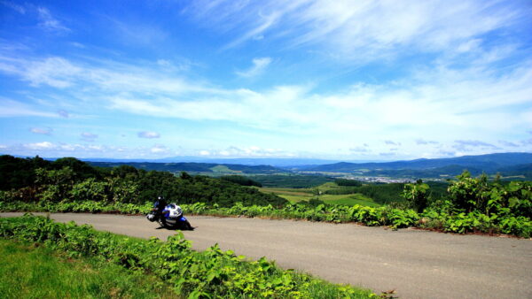 そこまでやるんだ、巧妙だなあ・・